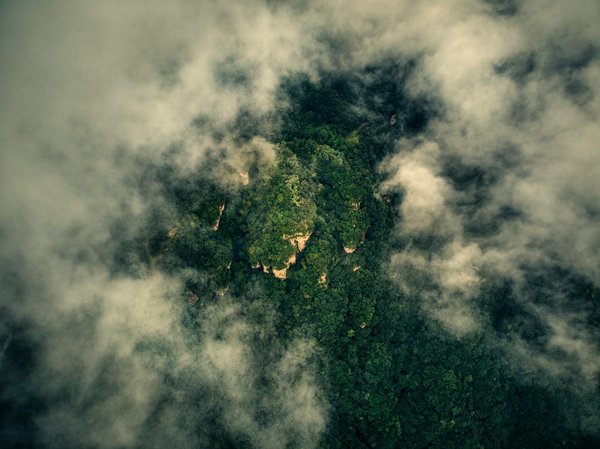 Rencontre avec un Pathologiste : Plongée dans les Transformations d'un Métier en Évolution